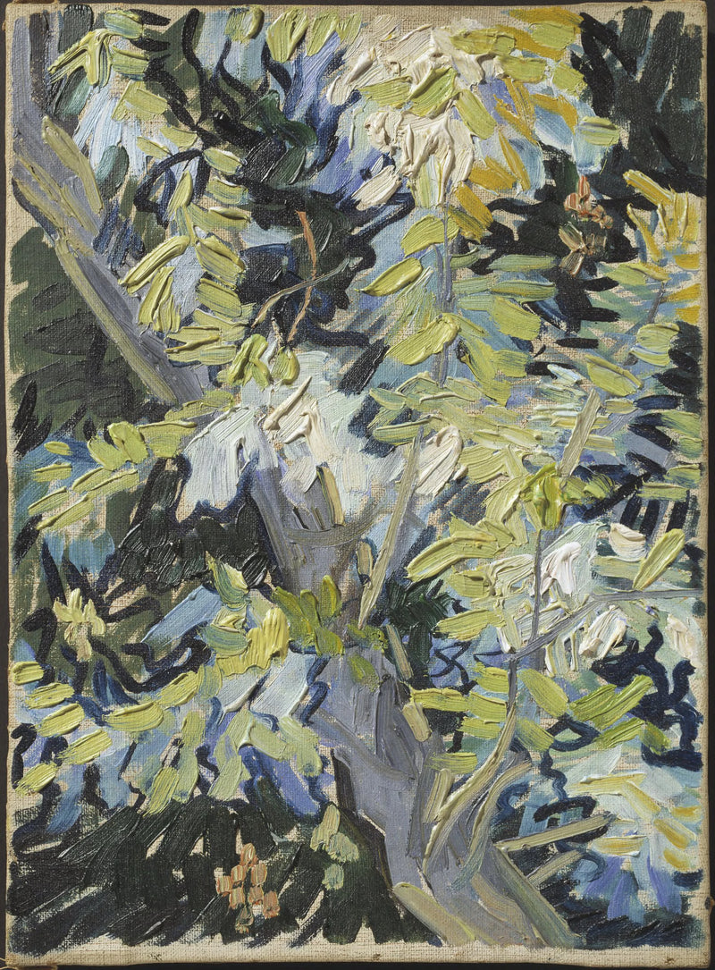 Blomstrende akasiegreiner - Vincent van Gogh