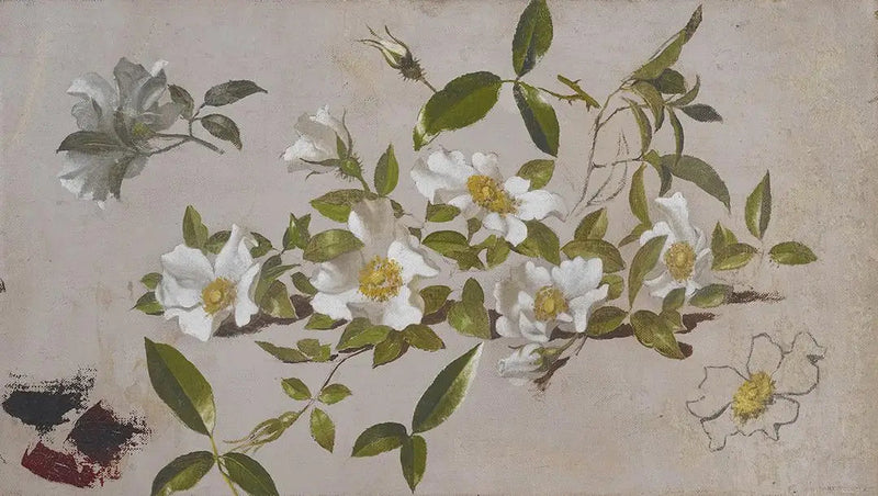 Rosergrenser Cherokee - Martin Johnson Heade

Source:
Branches de roses Cherokee - Martin Johnson Heade