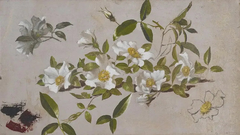 Rosergrenser Cherokee - Martin Johnson Heade

Source:
Branches de roses Cherokee - Martin Johnson Heade