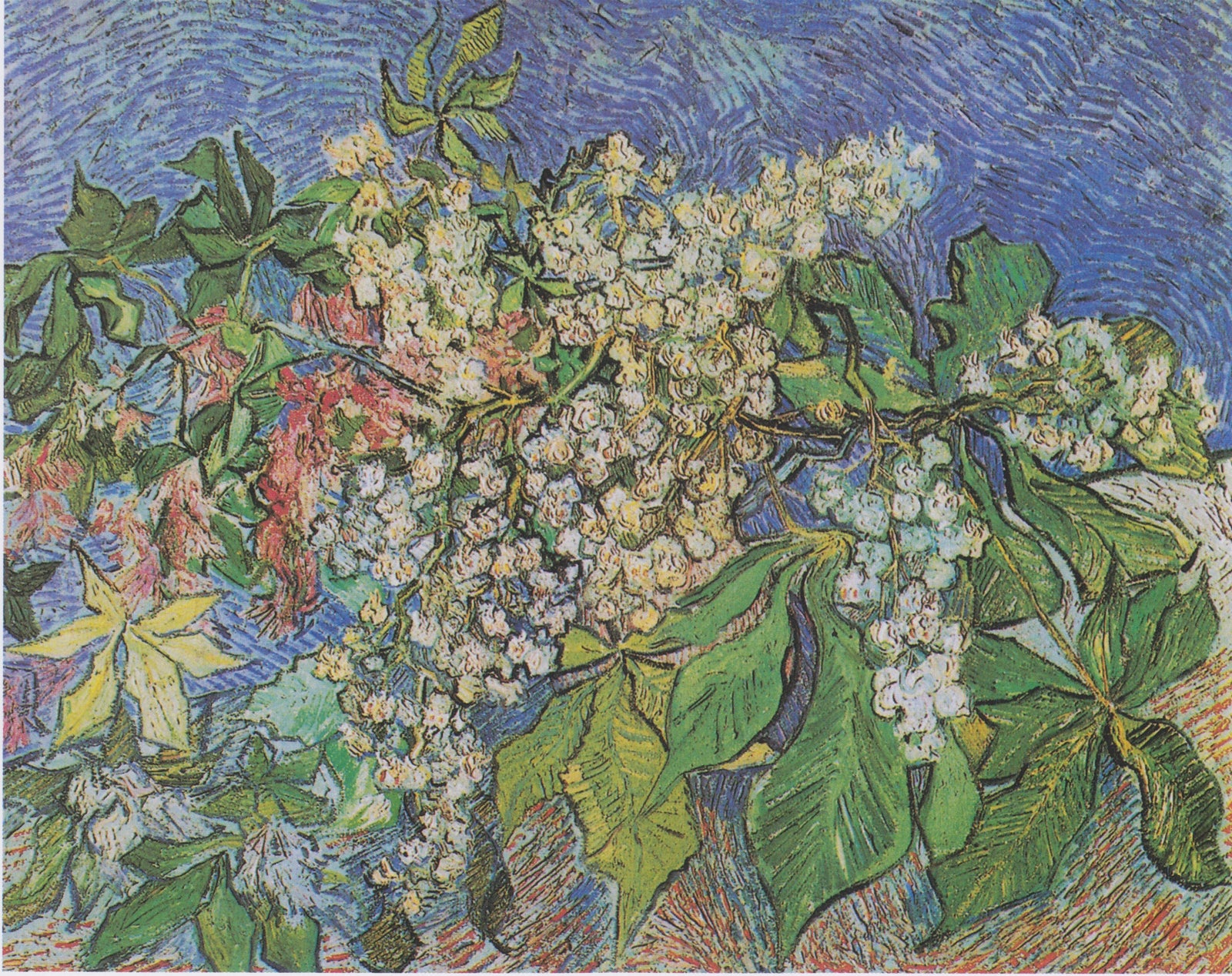 Kastanjegrener i blomst - Vincent van Gogh