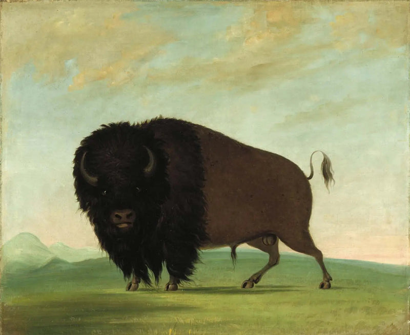 Hannbuffle som beiter på engen - George Catlin

Source:
Buffle mâle broutant dans la prairie - George Catlin