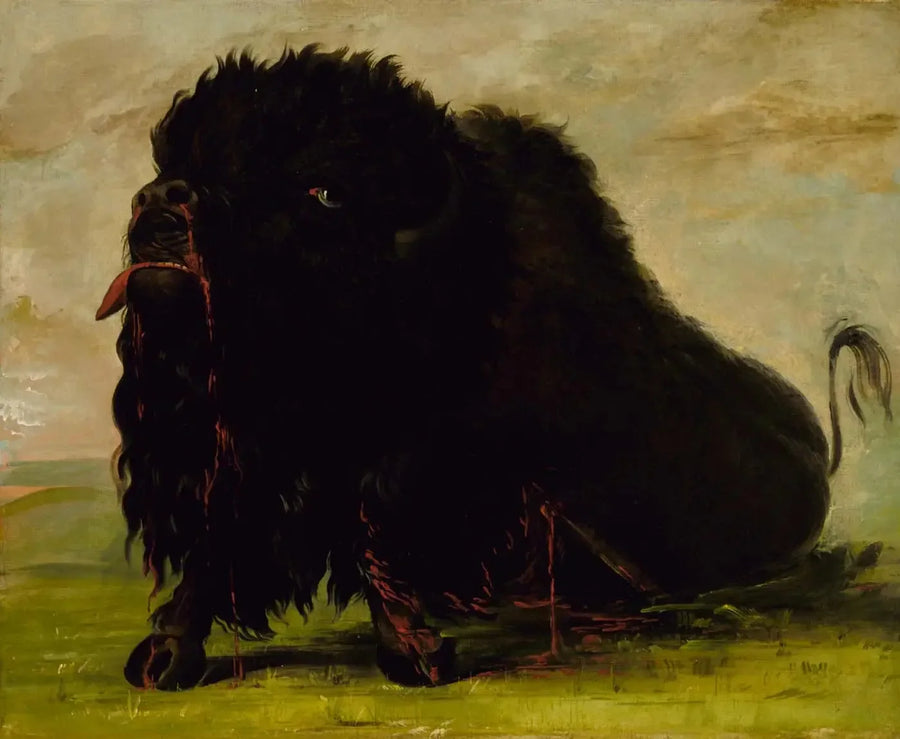 Døende bison, truffet av en pil - George Catlin

Source:
Buffle mourant, touché par une flèche - George Catlin