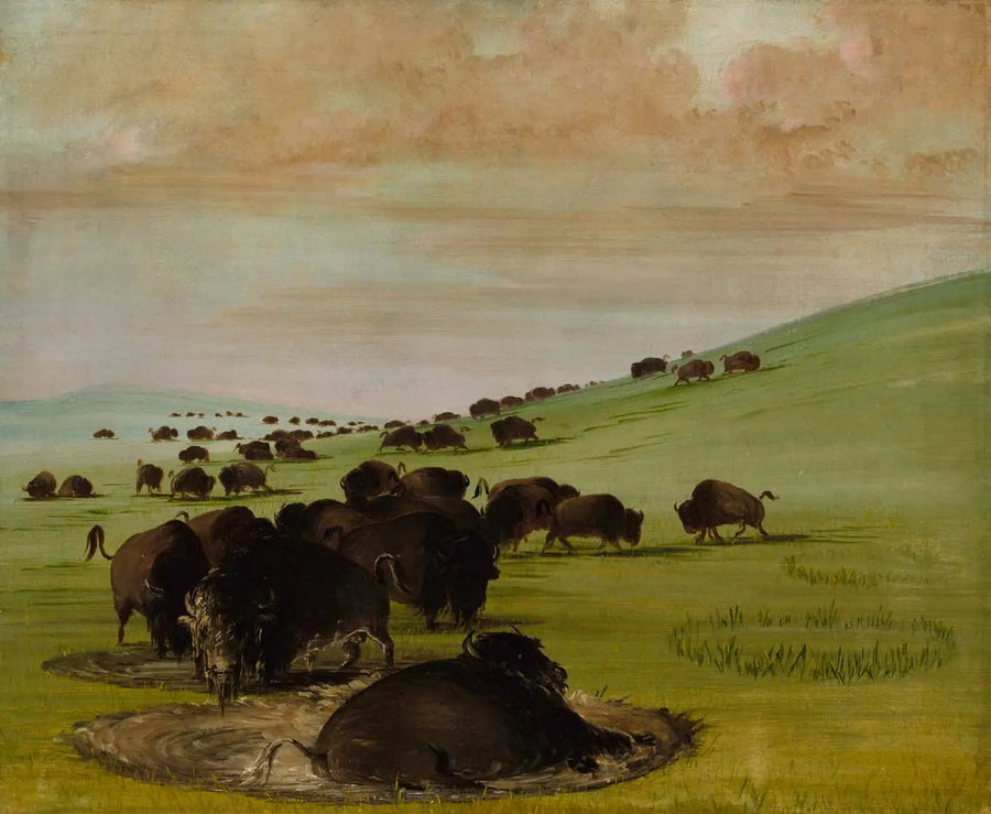 Hannbøfler i en gjørmepøl - George Catlin

Source:
Buffles mâles dans un bourbier - George Catlin