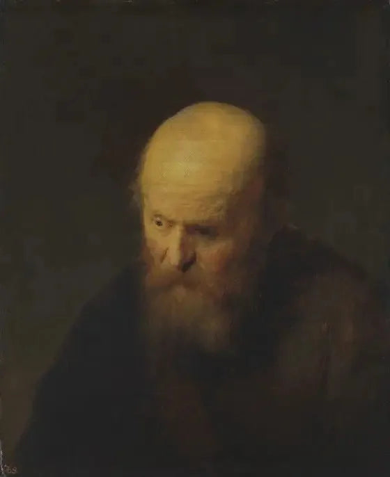 Buste av en gammel mann med skallet hode - Rembrandt