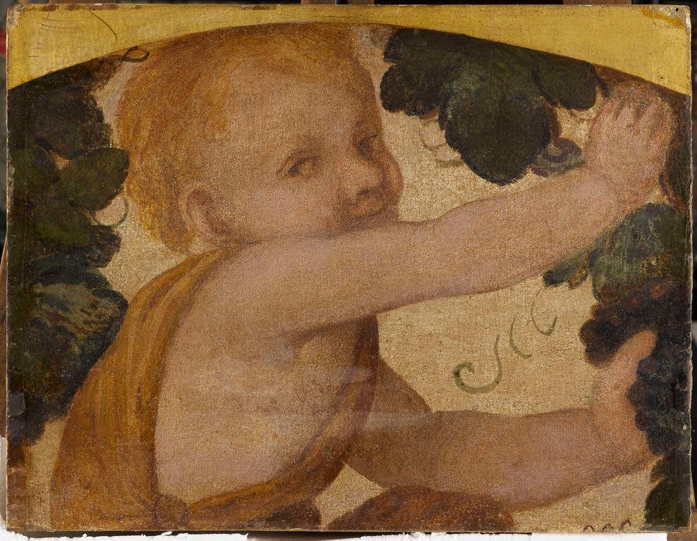 Buste de putto dans les pampres - Bernardino Luini image 1 reproduction réalisée par Alpha Reproduction