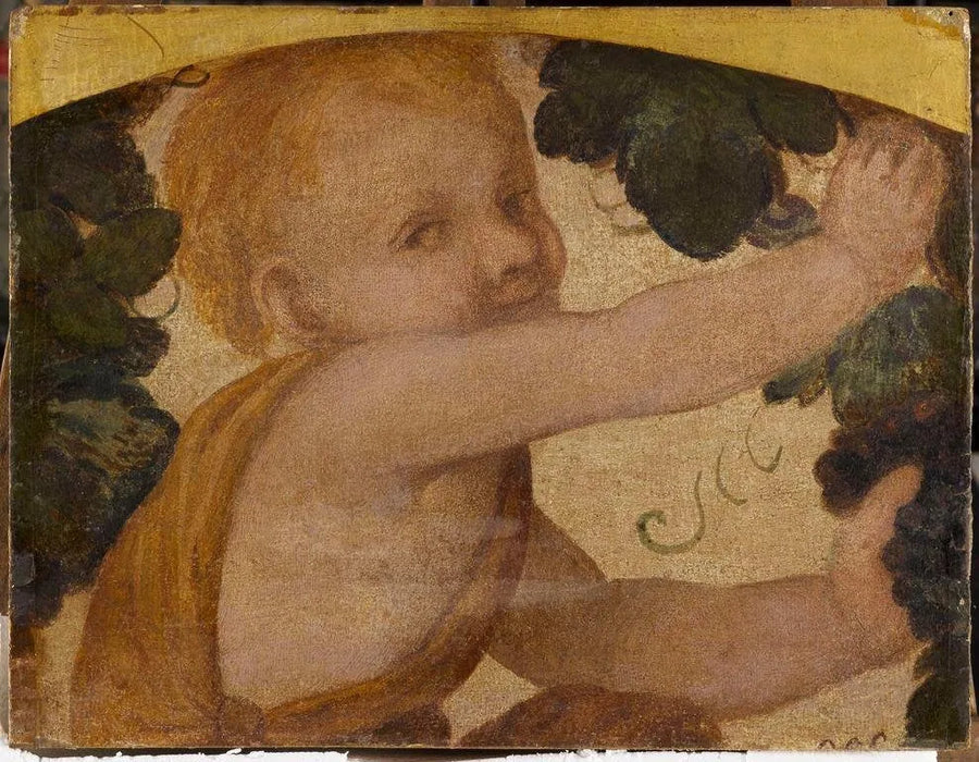 Puttebuste blant drueranker - Bernardino Luini