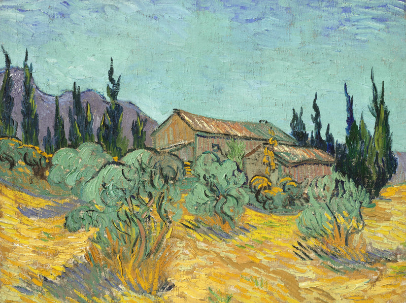 Trehytter blant oliventrær og sypress - Vincent van Gogh