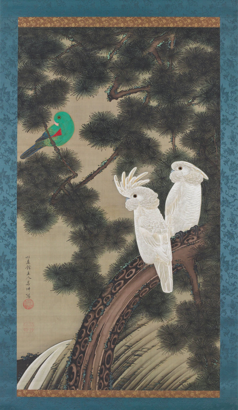 Cacatoès sur un vieux pin - Itō Jakuchū