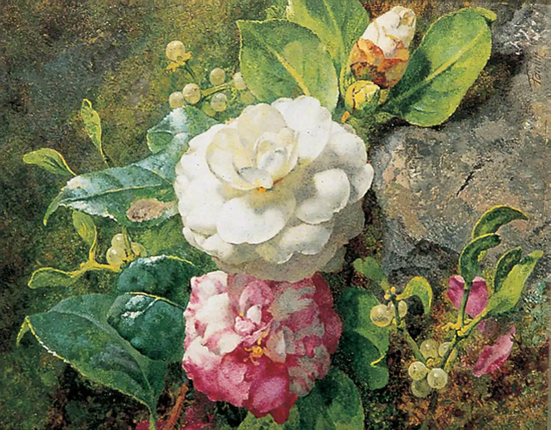 Kameliaer - Henri Fantin-Latour

Source:
Camélias - Henri Fantin-Latour