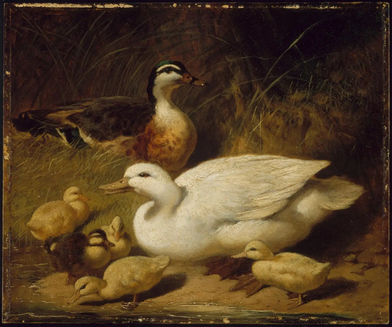 Andekvinner og andunger - John Frederick Herring, Sr.

Source:
Canards et canetons - John Frederick Herring, Sr.