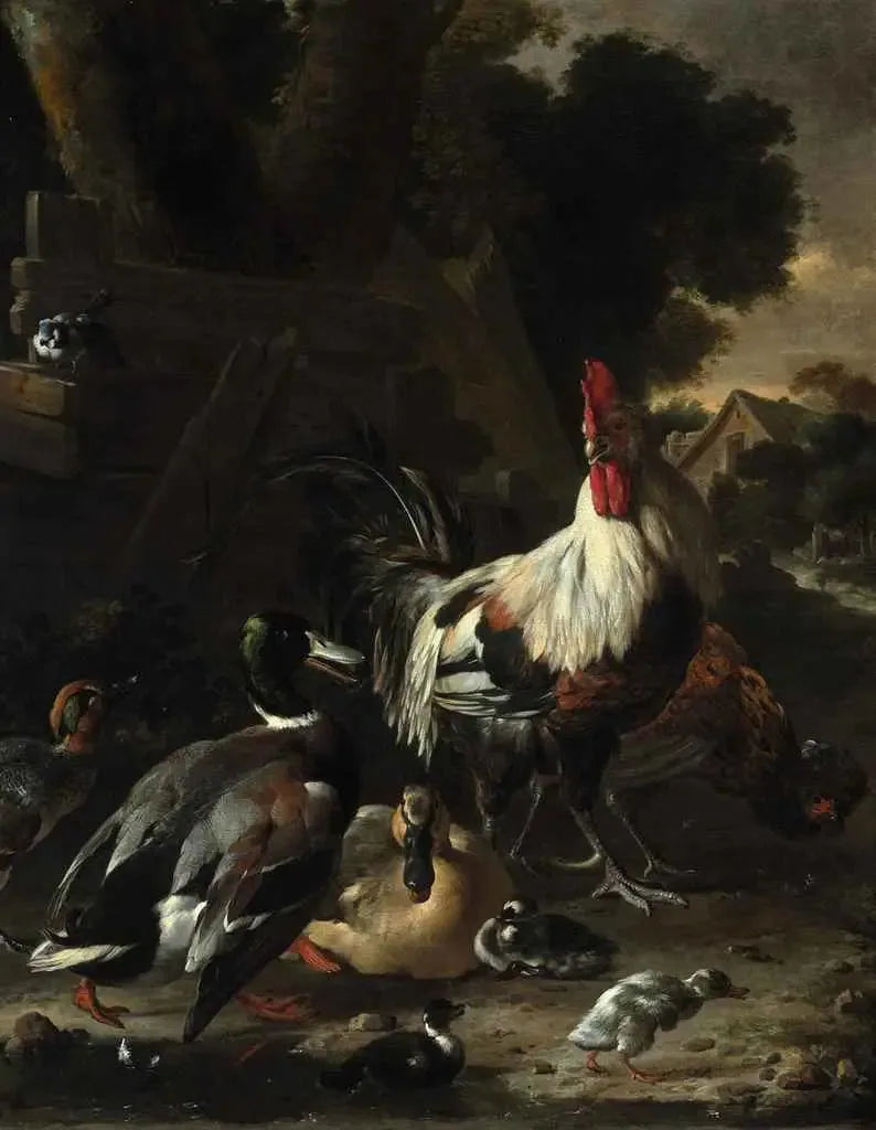 Andefugl, høner og andre fjærfe i en gård - Melchior de Hondecoeter