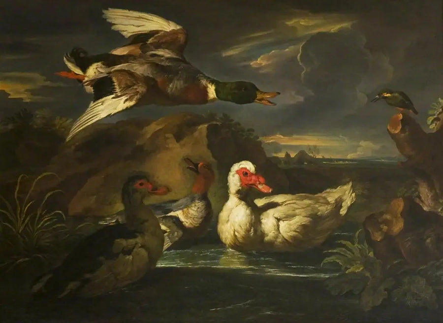 Villandender med fiskemåke - Melchior de Hondecoeter