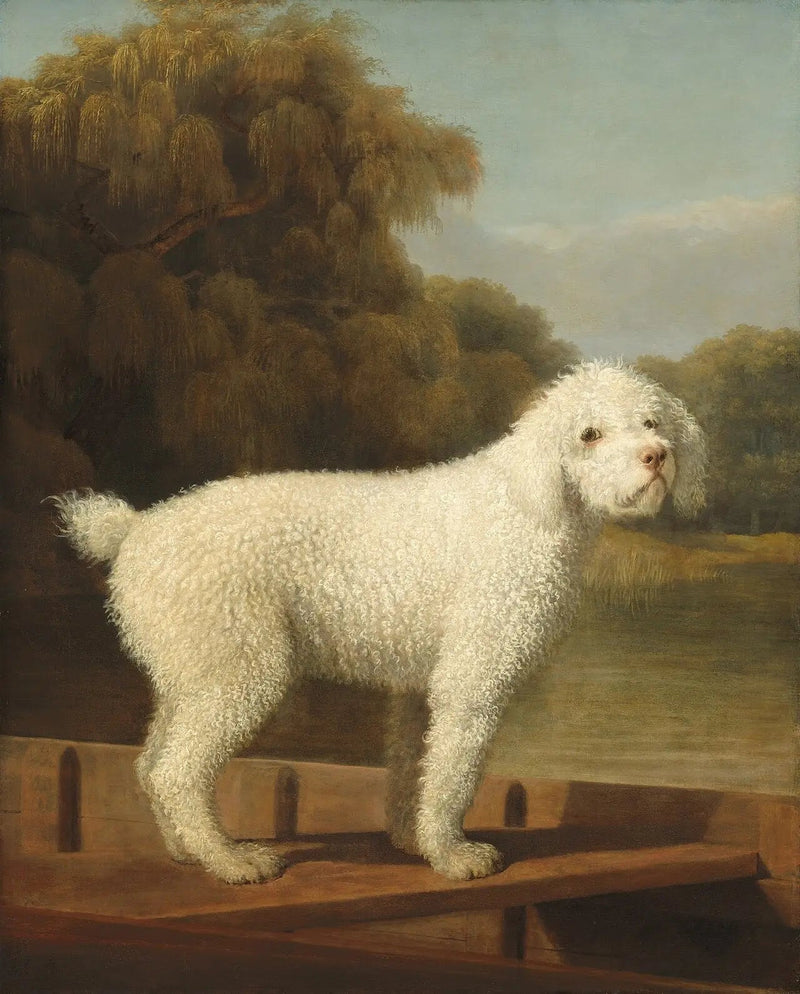 Hvit puddel i en Punt - George Stubbs

Source:
Caniche blanc dans un Punt - George Stubbs