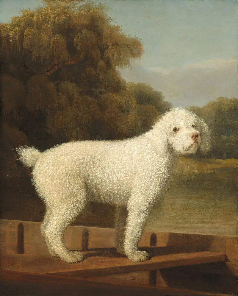 Hvit puddel i en Punt - George Stubbs

Source:
Caniche blanc dans un Punt - George Stubbs