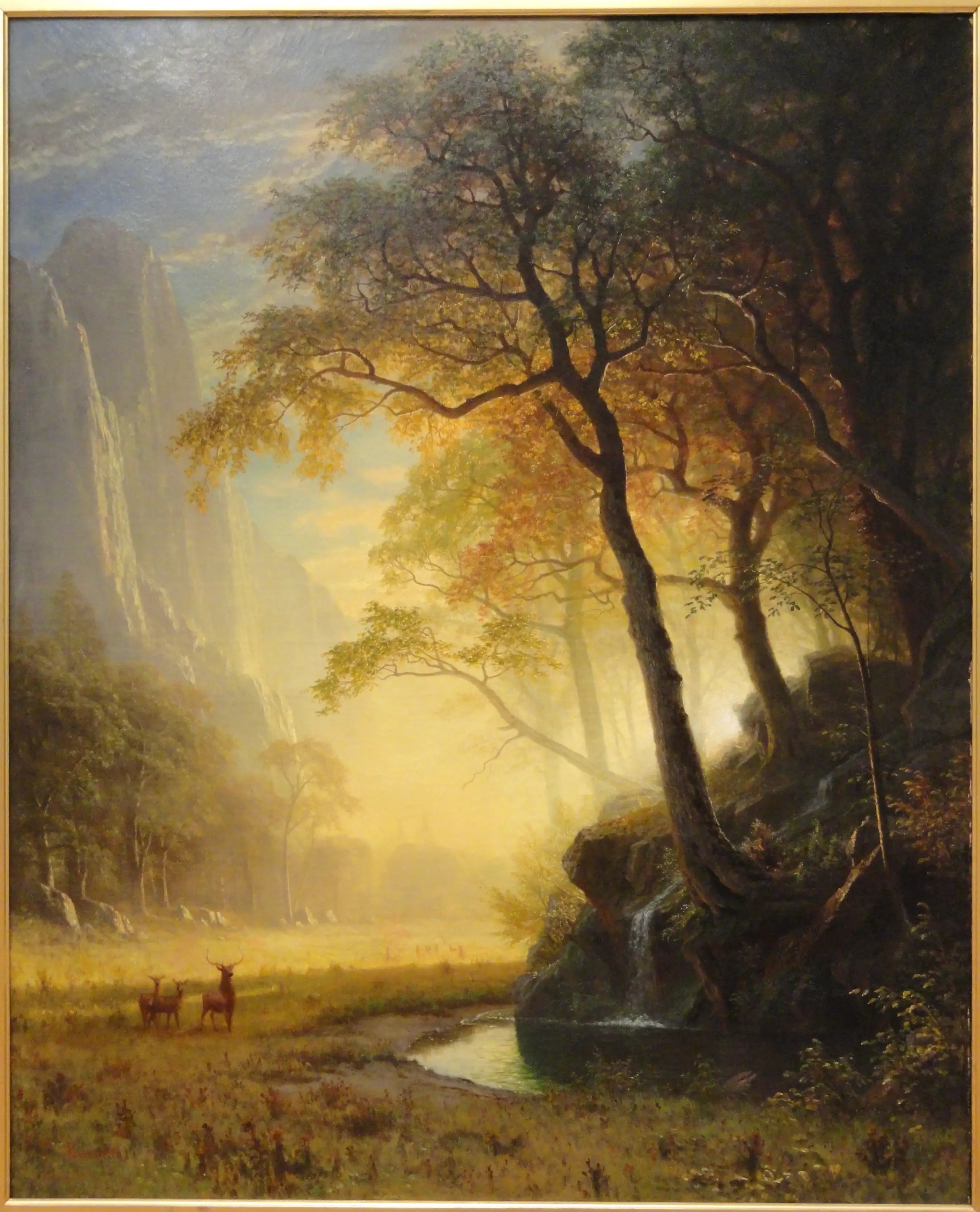Canyon de Hetch Hetchy - Albert Bierstadt - Alpha Reproduction