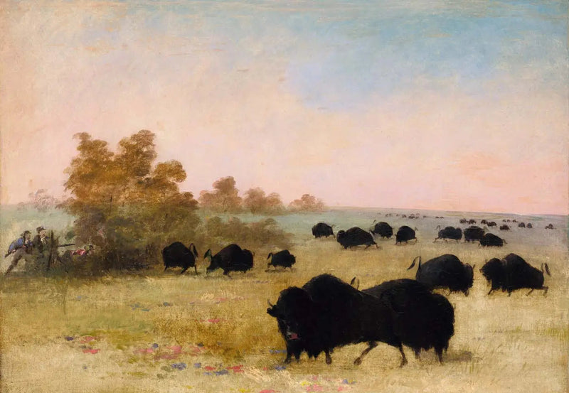 Catlin og Party Stalking Buffalo, Haut-Missouri - George Catlin

Source:
Catlin et Party Stalking Buffalo, Haut-Missouri - George Catlin