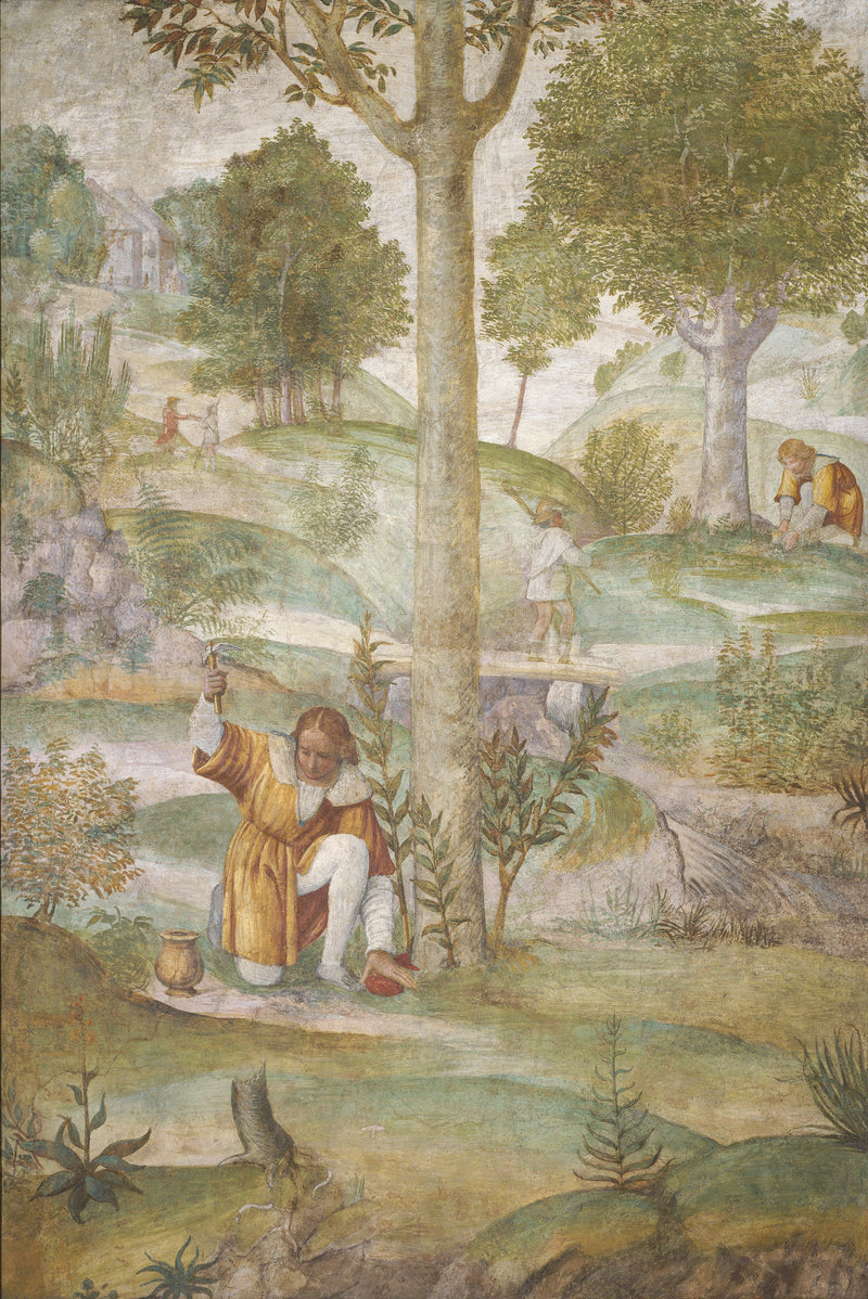 Hode som skjuler juveler - Bernardino Luini