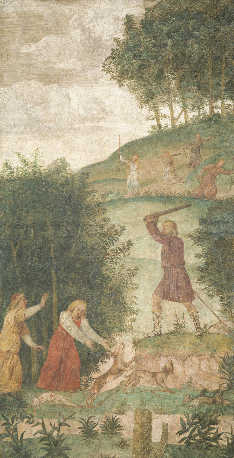 Straffet hode på jakt - Bernardino Luini