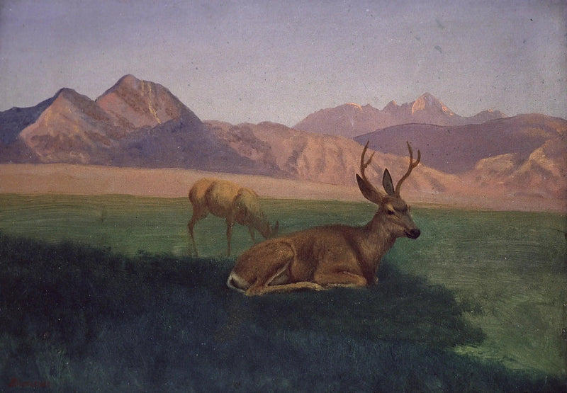 Seraf - Albert Bierstadt

Source:
Cerf - Albert Bierstadt