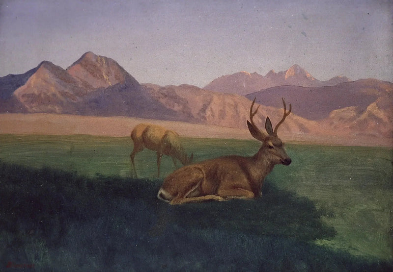 Seraf - Albert Bierstadt

Source:
Cerf - Albert Bierstadt