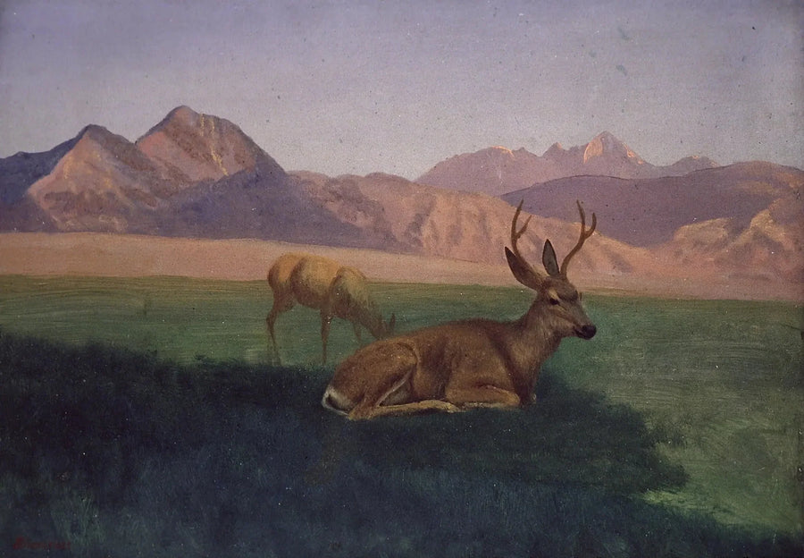 Seraf - Albert Bierstadt

Source:
Cerf - Albert Bierstadt