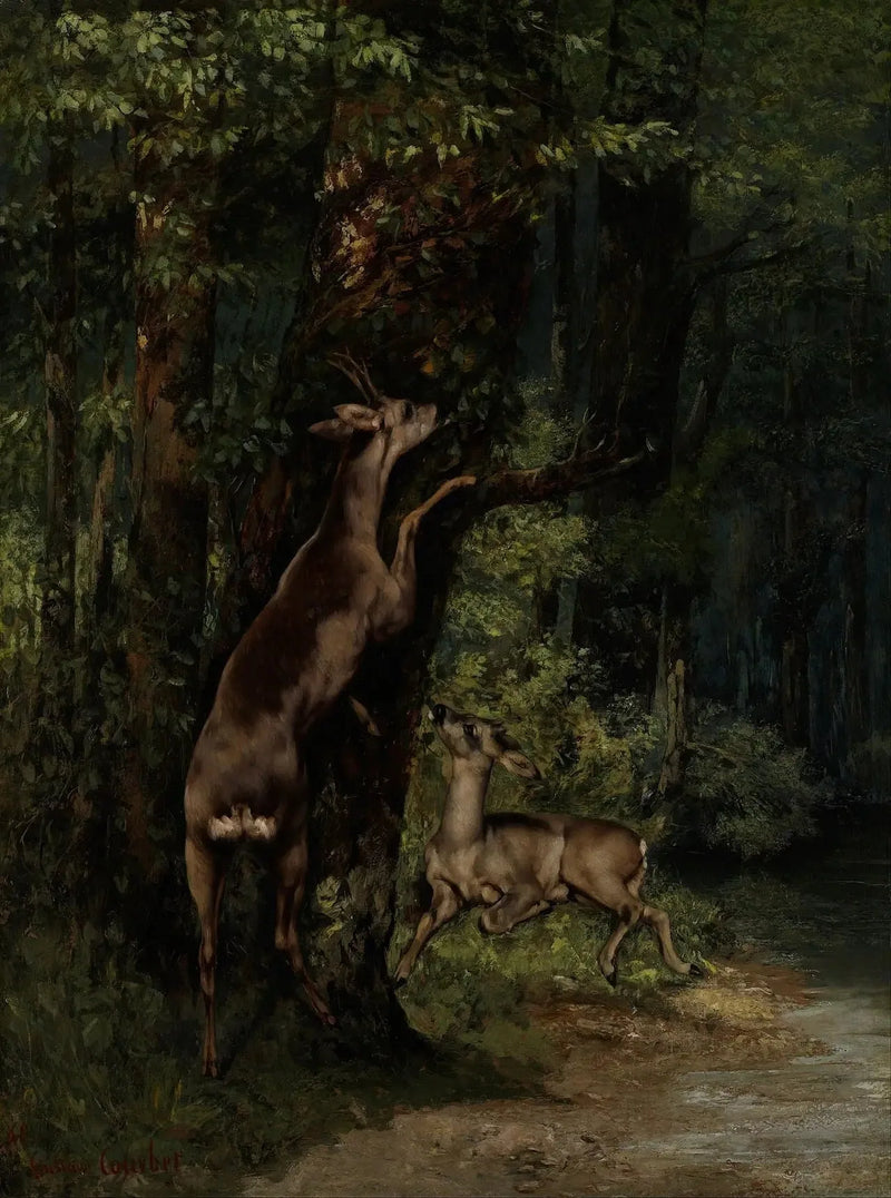 Hjort i skogen - Gustave Courbet