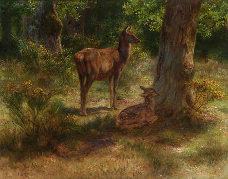 Hjort og unge i en skog - Rosa Bonheur