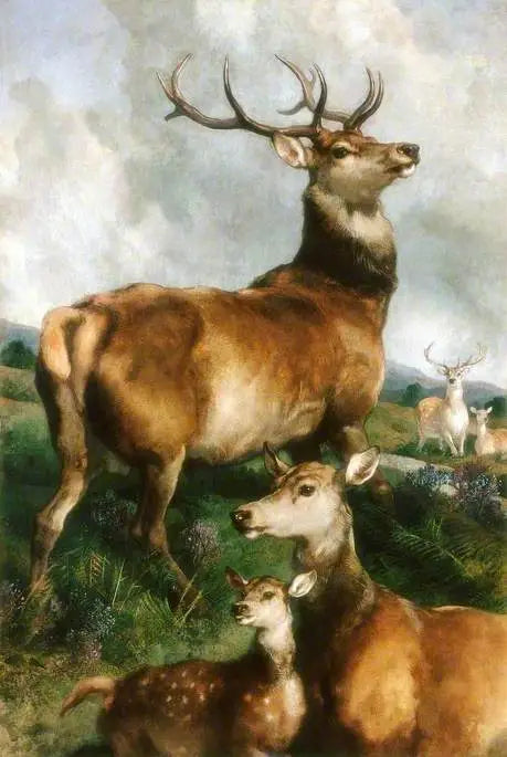 Chillingham parkhjorter, Northumberland - Edwin Henry Landseer

Source:
Cerfs du parc de Chillingham, Northumberland - Edwin Henry Landseer