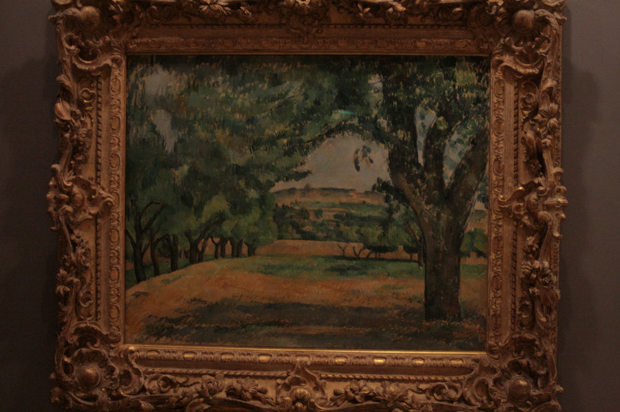 Områdene rundt Jas de Bouffan - Paul Cézanne