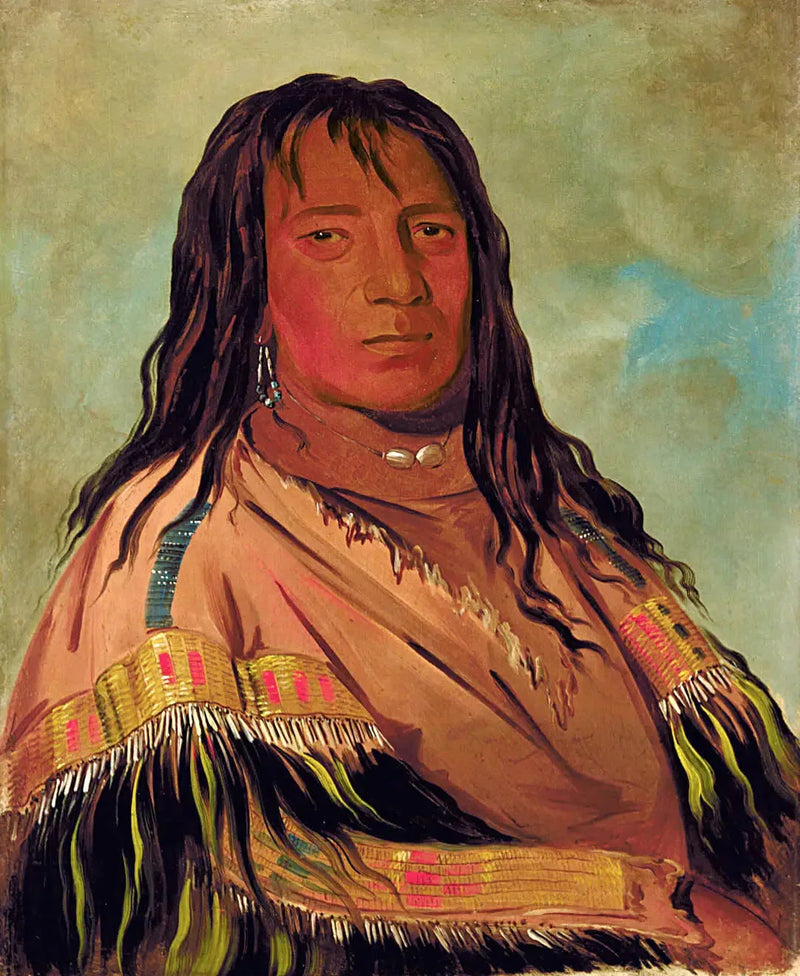 Chá-tee-wah-née-che, Uten Hjerte, Leder av Wah-ne-watch-to-nee-nah-banden - George Catlin

Source:
Chá-tee-wah-née-che, Sans Cœur, Chef de la bande Wah-ne-watch-to-nee-nah - George Catlin