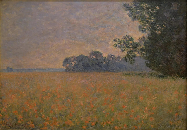 Valmue havrefelt W1258 - Claude Monet