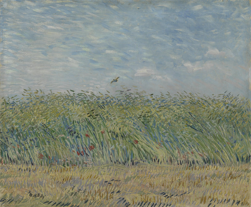 Hvetefelt med lerke - Vincent van Gogh