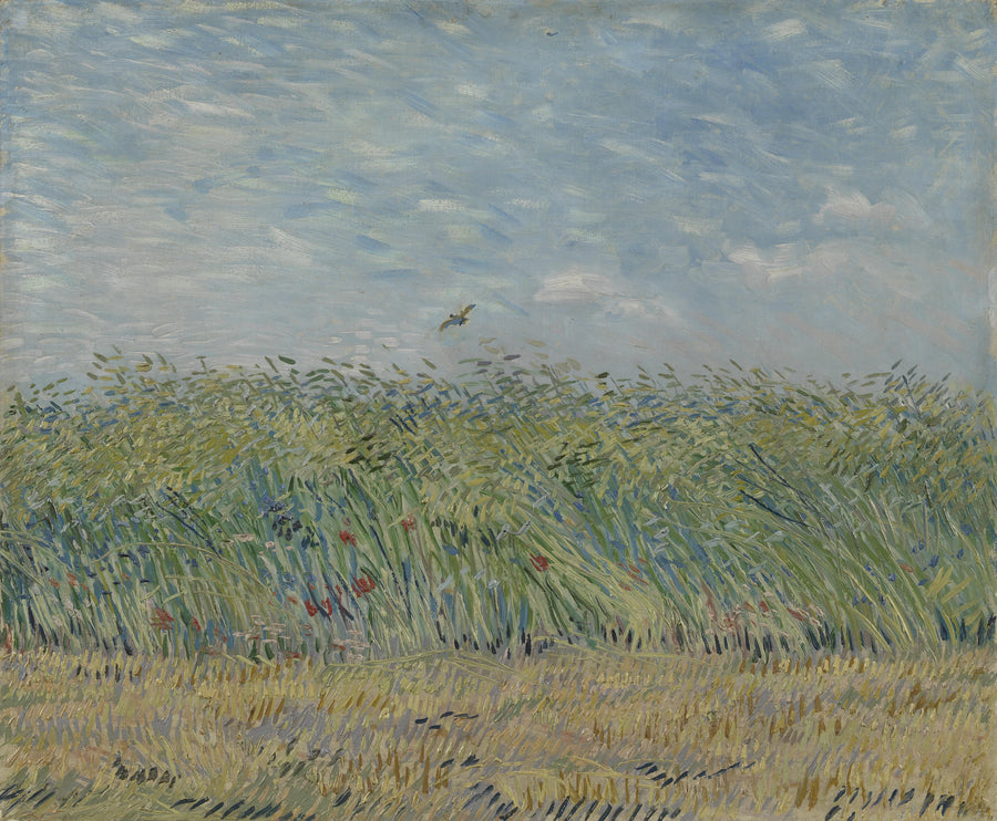 Hvetefelt med lerke - Vincent van Gogh