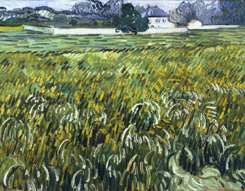 Hveteåker i Auvers med hus - Vincent van Gogh