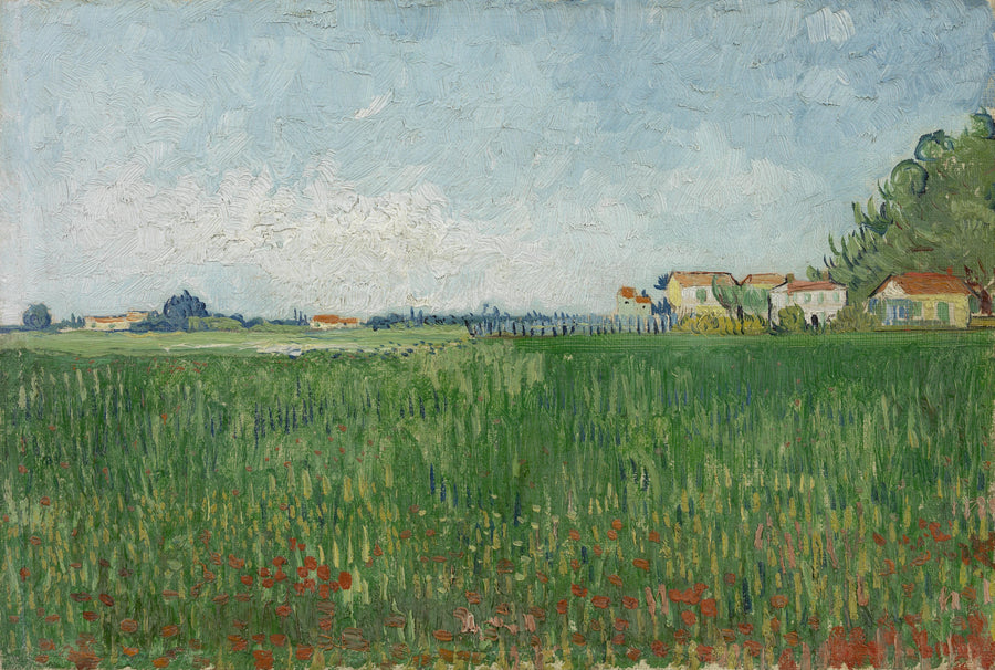 Valmueåker - Vincent van Gogh