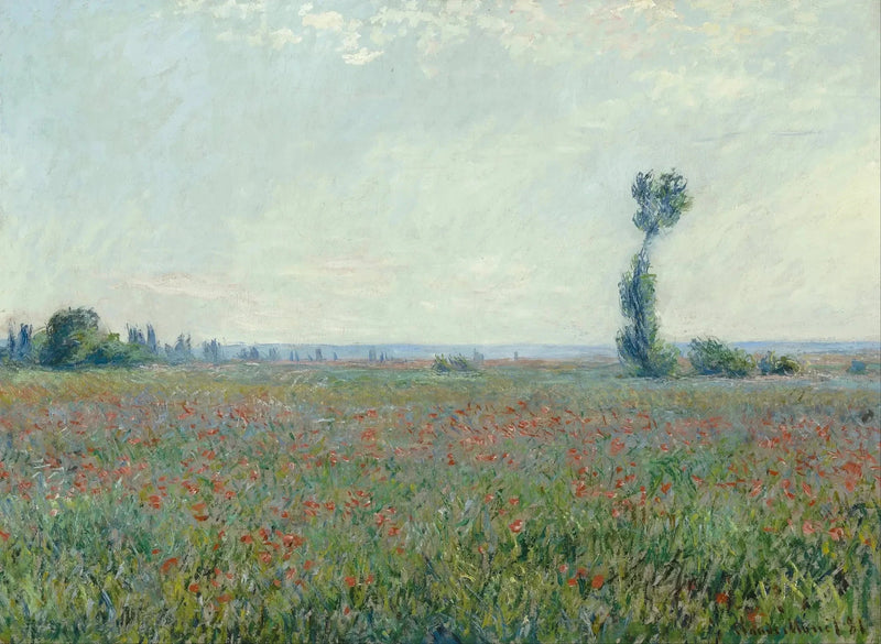 Valmuefelt W677 - Claude Monet