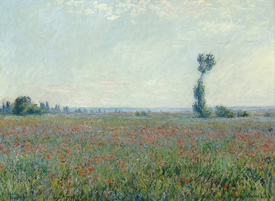 Valmuefelt W677 - Claude Monet