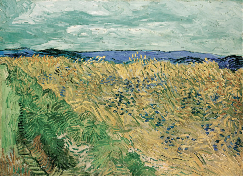 Hveteåker med blåklokker - Vincent van Gogh
