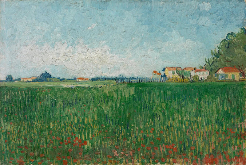Valmueåker - Vincent van Gogh