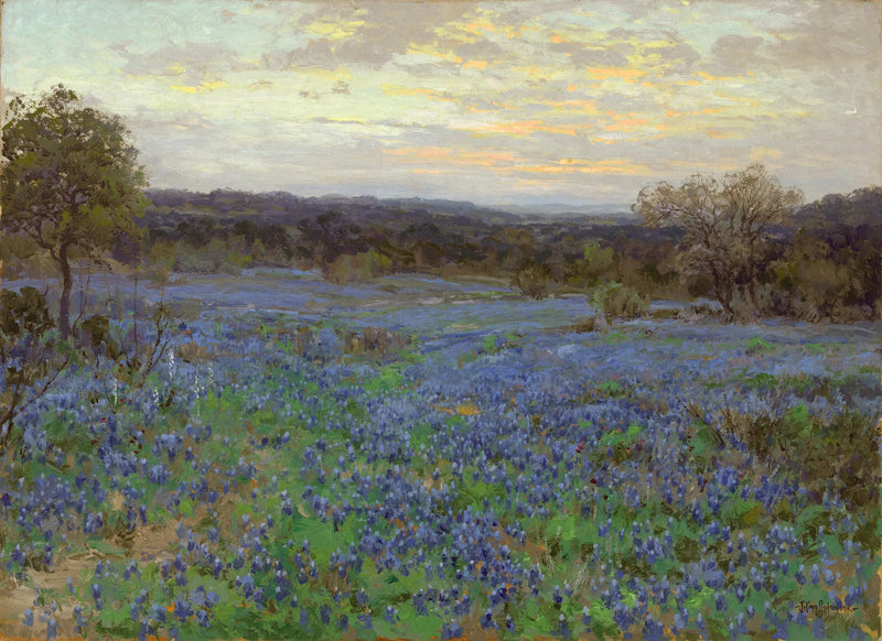 Blå lupinmark ved solnedgang - Julian Onderdonk