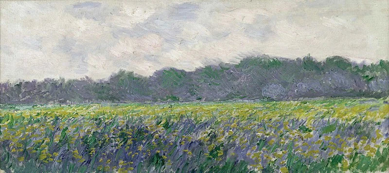Gult irisfelt i Giverny W1137 - Claude Monet