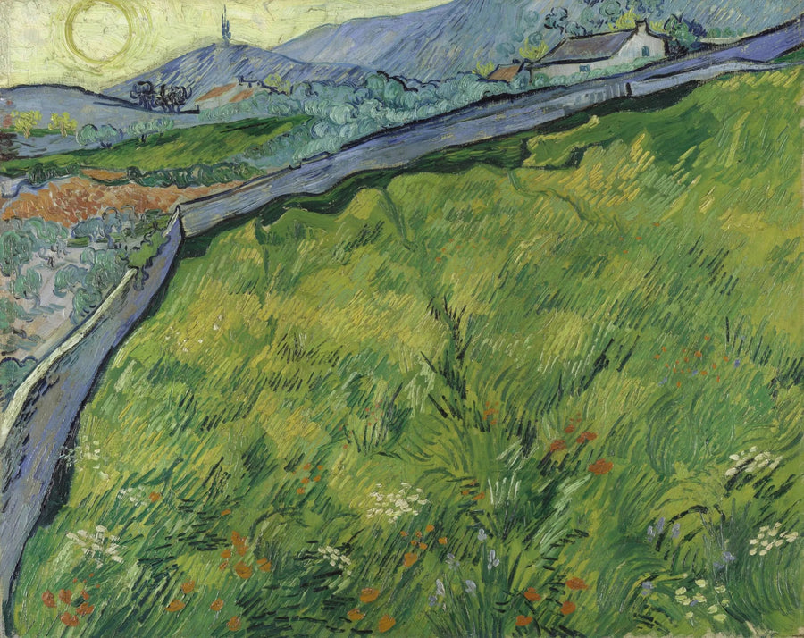Vårhveteåker ved soloppgang - Vincent van Gogh