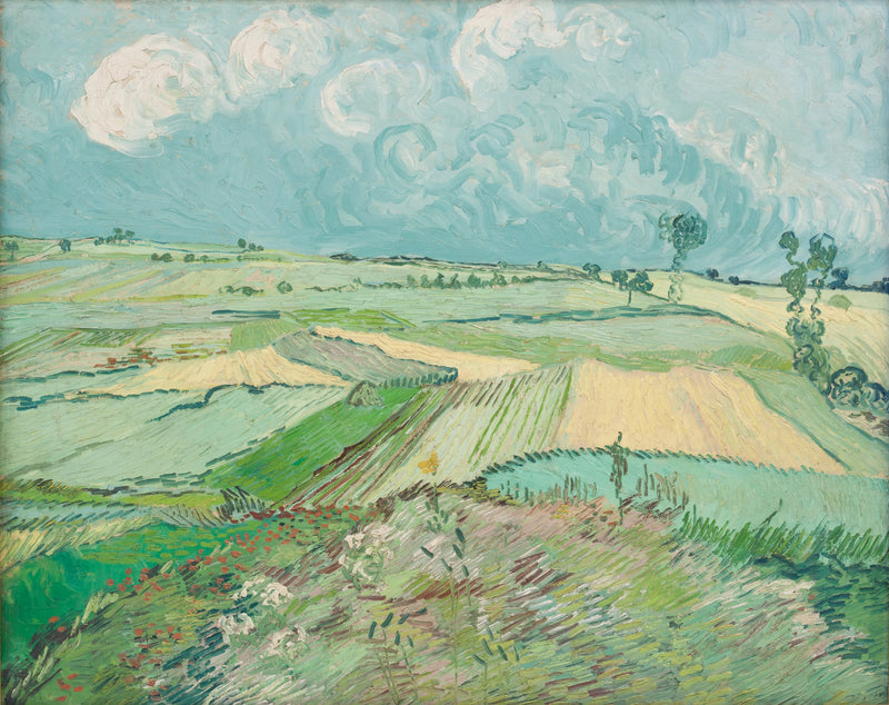 Kveitefelt etter regnet - Vincent van Gogh