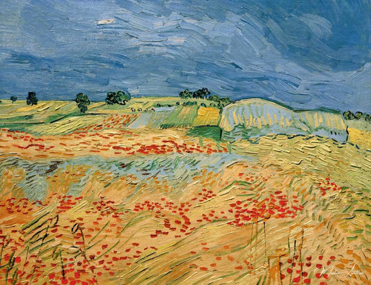 Champs de coquelicots en fleurs - Van Gogh - Reproductions de tableaux et peintures haut de gamme