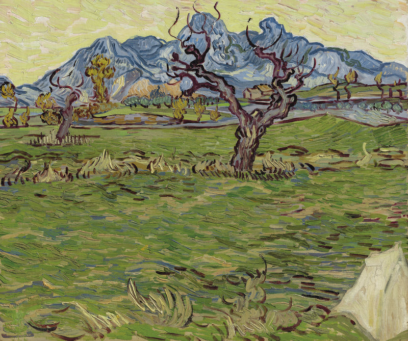 Åkre nær Alpilles - Vincent van Gogh