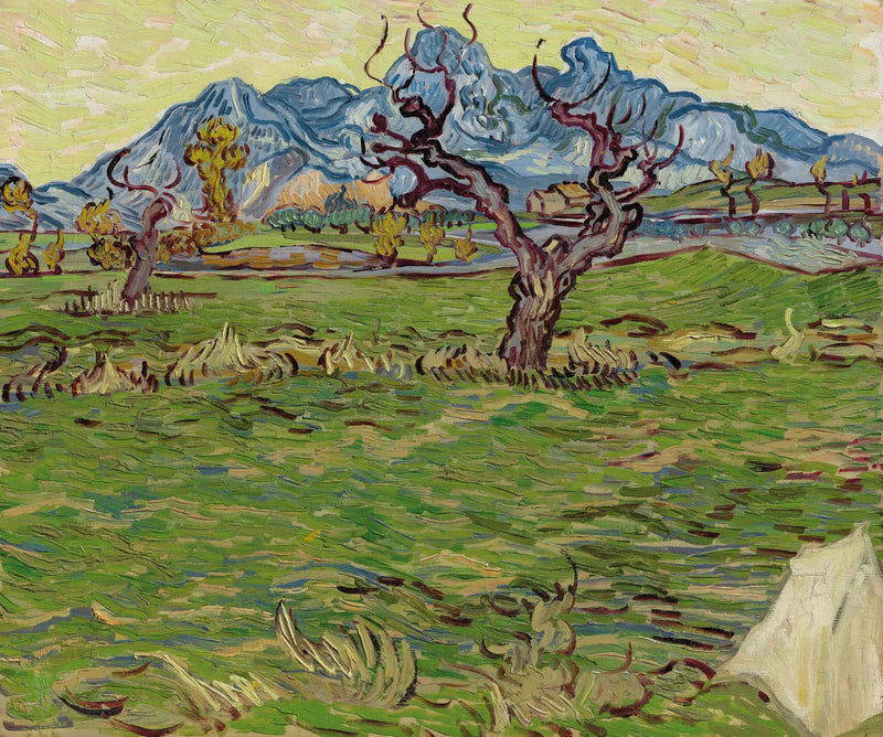 Åkre nær Alpilles - Vincent van Gogh