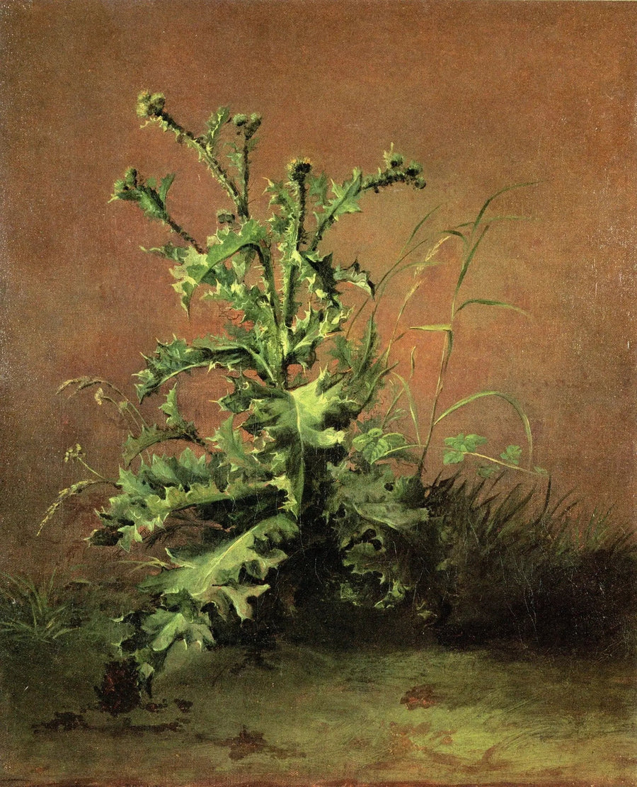 Tistler - Édouard Manet