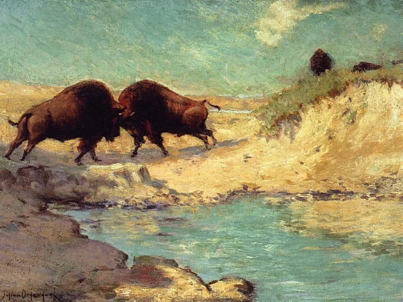 Bisonjakt - Julian Onderdonk