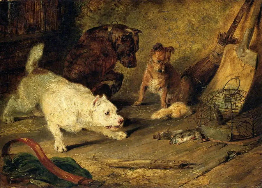 Rottejjemmere - Edwin Henry Landseer

Source:
Chasseurs de rats - Edwin Henry Landseer