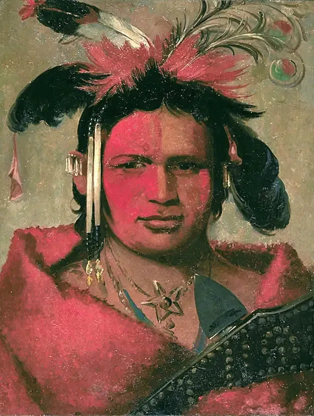 Chee-me-náh-na-quet, Grand Nuage, sønn av Grizzly Bear - George Catlin

Source:
Chee-me-náh-na-quet, Grand Nuage, fils de Grizzly Bear - George Catlin